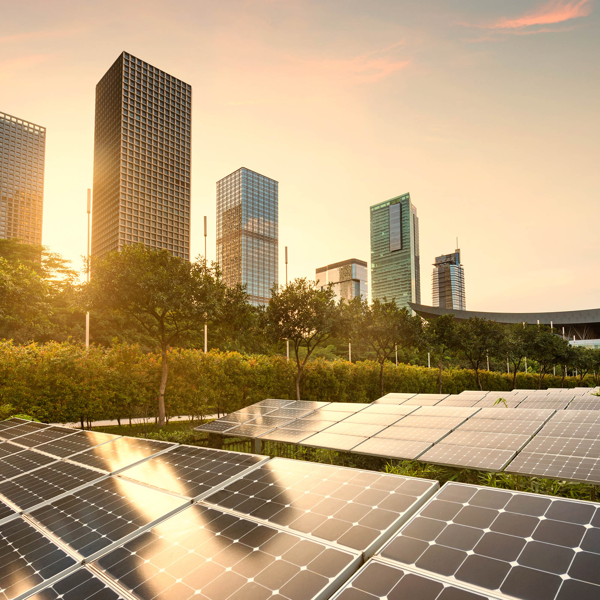 Honle New Energy Technology Co., Ltd.